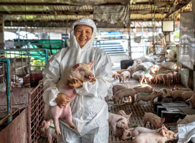 La trinidad para afrontar futuras pandemias: una sola salud humana, animal y ambiental