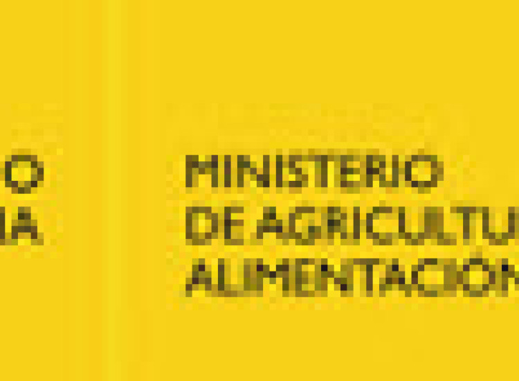 Premio Alimentos de España - Mejores Aceites de Oliva Virgen Extra